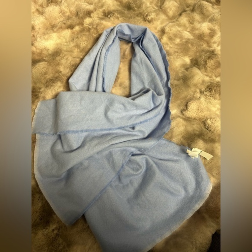 NWT Aerie Sky Blue scarf
